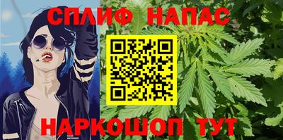 скорость Будённовск