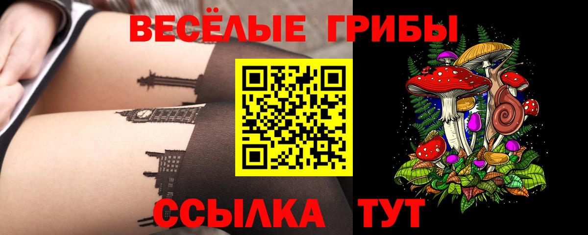 Галлюциногенные грибы прущие грибы Котовск